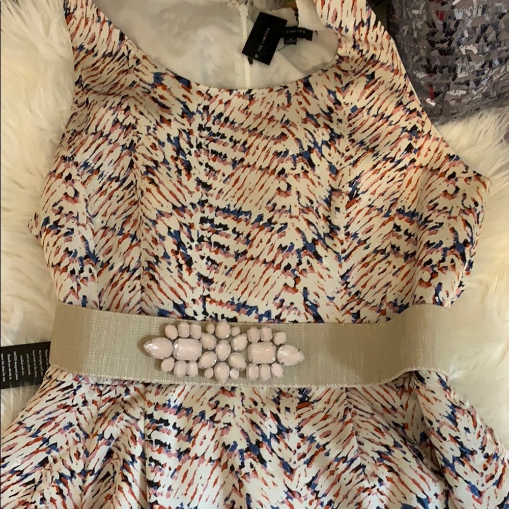 NWT The Limited Waist stretch Belt